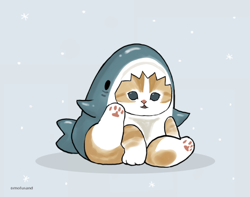 Shark Cat
